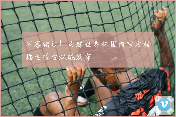 不容错过！足球世界杯国内官方转播电视台权威发布