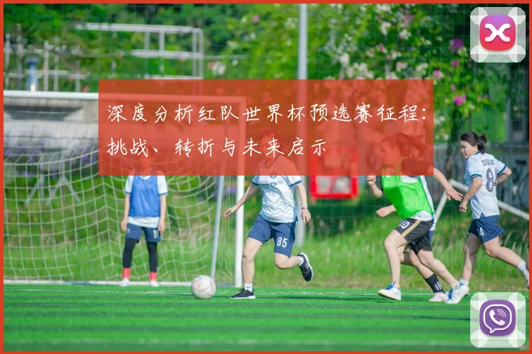 深度分析红队世界杯预选赛征程：挑战、转折与未来启示