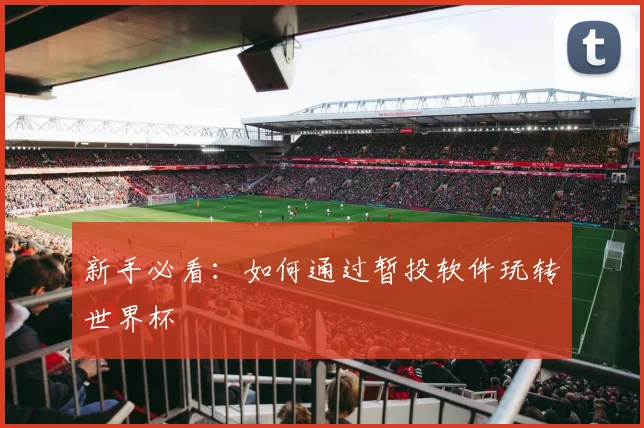 新手必看：如何通过暂投软件玩转世界杯