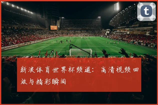 新浪体育世界杯频道：高清视频回放与精彩瞬间