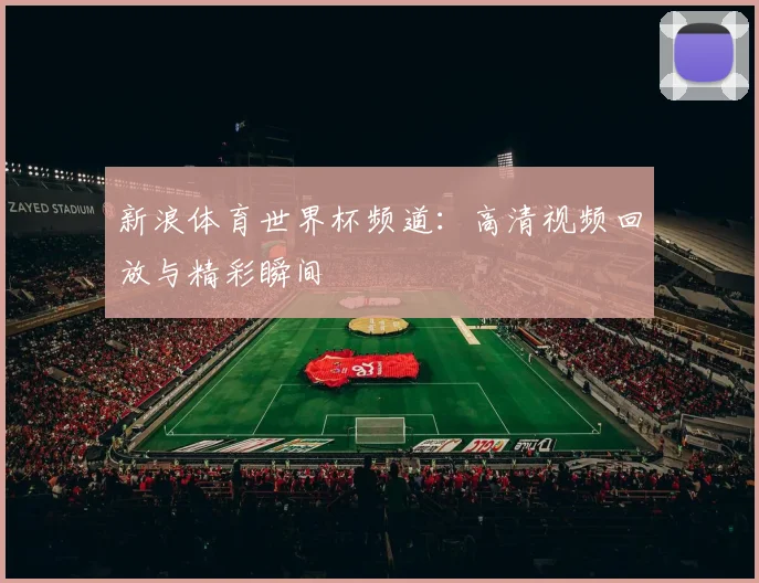 新浪体育世界杯频道：高清视频回放与精彩瞬间
