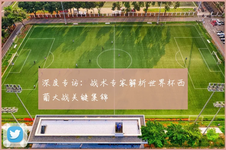 深度专访：战术专家解析世界杯西葡大战关键集锦