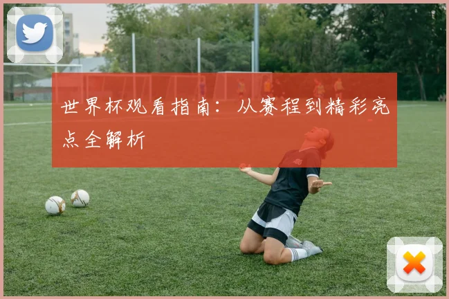 世界杯观看指南：从赛程到精彩亮点全解析
