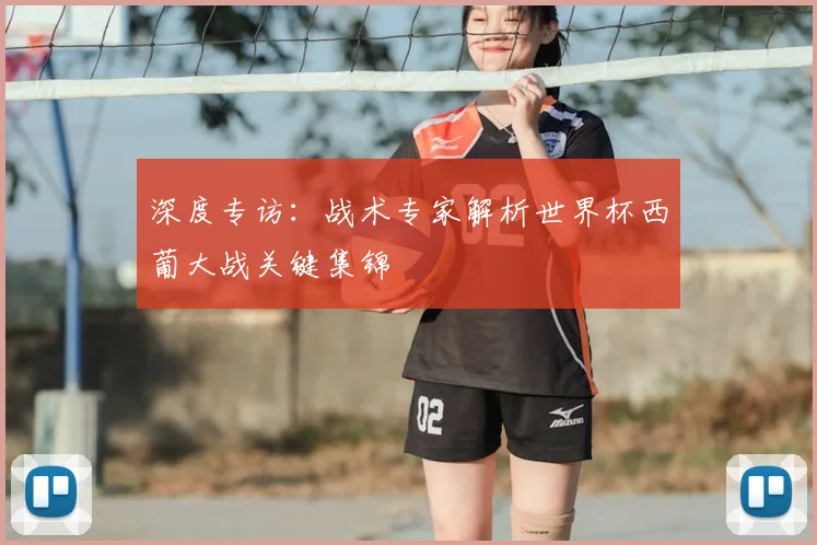 深度专访：战术专家解析世界杯西葡大战关键集锦