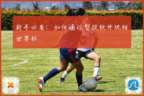 新手必看：如何通过暂投软件玩转世界杯